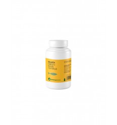 BOTANICA PHARMA OMEGA 3 SALMON ENVASE 500 mg 120 PERLAS