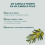 KNEIPP Gummies Anticaida CAPILAR 60 GOMINOLAS VITAMINADAS